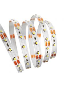 Tresco FlexTape 2W 2700K LED Tape Light 240"  - 12V