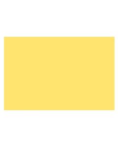 Mohawk Colored Lacquer Enamel Aerosol C31 Daffodil 13 Ounces - Discontinued