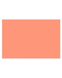 Mohawk Shadow Pigmented Toner Aerosol Orange 13 Ounces