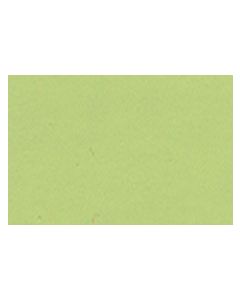 Mohawk Tone Finish Pigmented Toner Aerosol Gloss Sy Cottage Green 13 Ounces